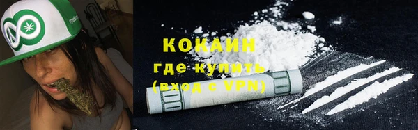шишки Армянск